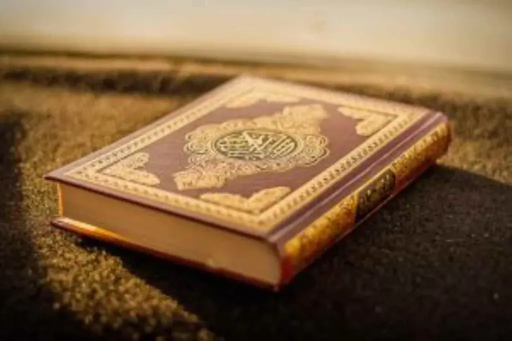 Whispers of History:Unraveling the Enigma of Islamic Civilization