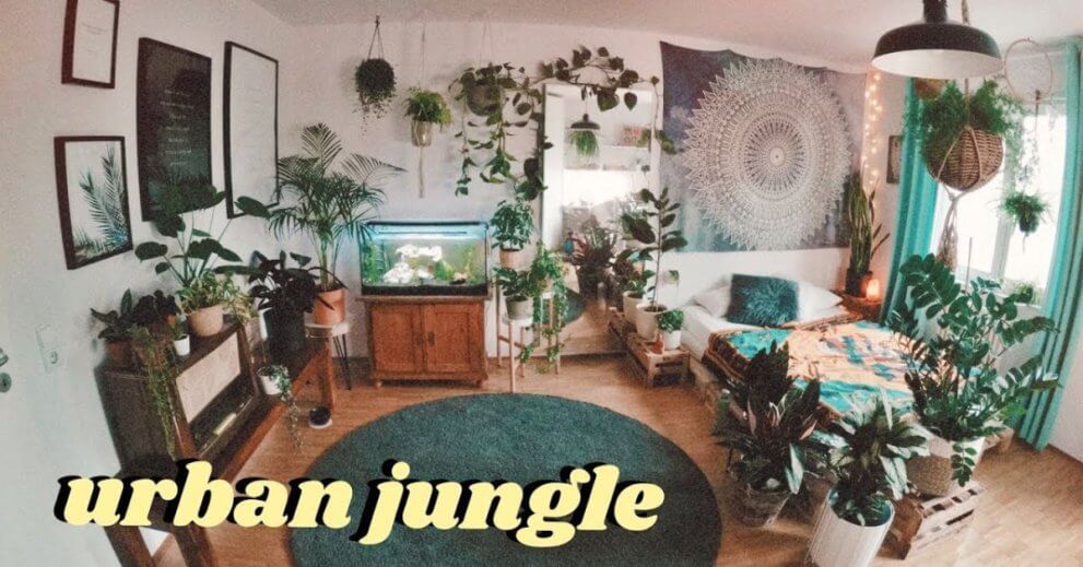 Unlock the Secrets of Urban Jungle: How to Transform Your Home into a Green Oasis